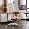 Multi-functional Ergonomic Mesh Office Chair with Adjustable Armrest,Footrest,Lumbar Support, 360°  Silent Wheels,Headrest for Home & Office