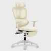 Multi-functional Ergonomic Mesh Office Chair with Adjustable Armrest,Footrest,Lumbar Support, 360°  Silent Wheels,Headrest for Home & Office